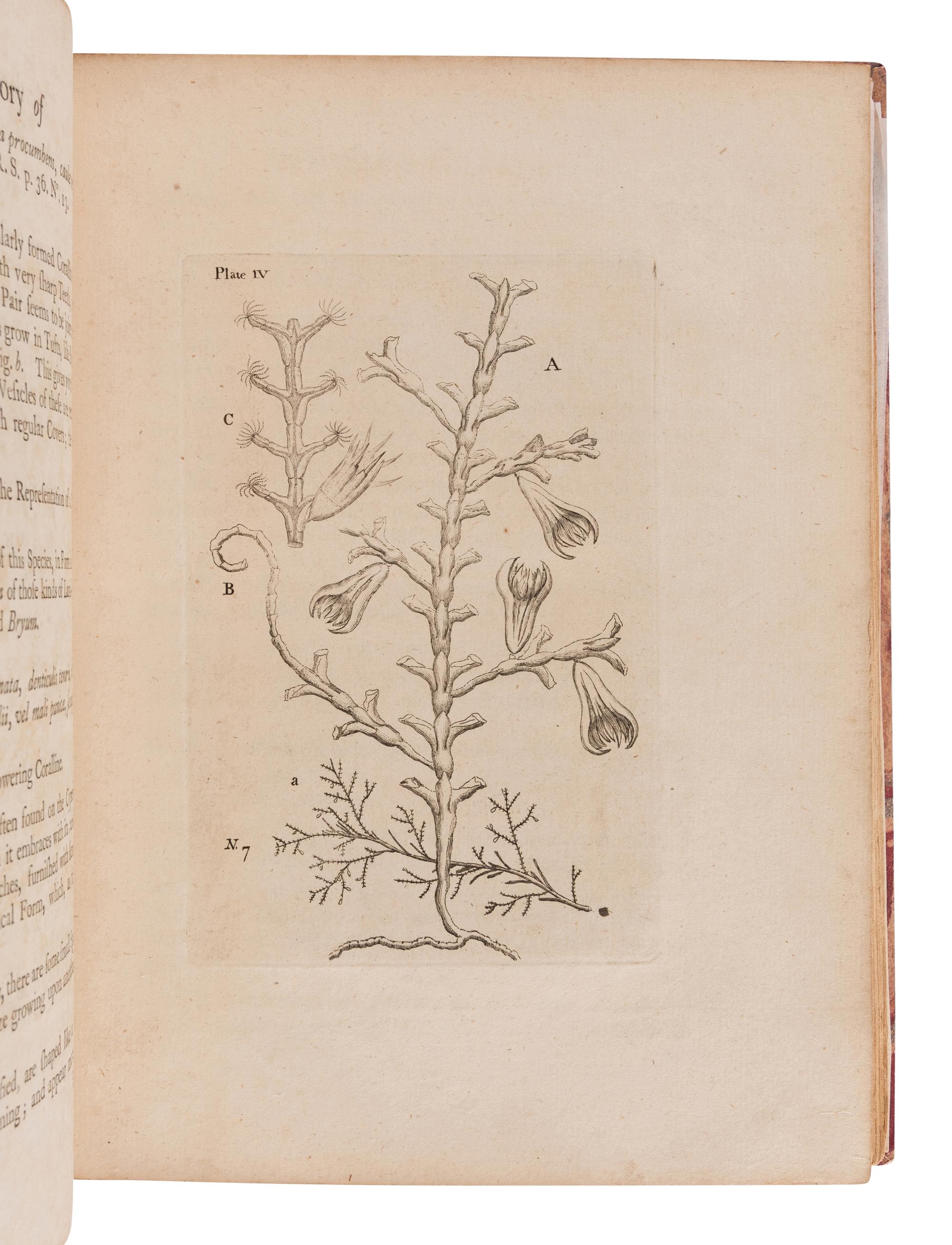 ELLIS, John (1710-1776). An Essay towards a Natural History of the Corallines and other Marine Productions...Commonly Found on the Coasts of Great Britain and Ireland. London: for the author, 1755.