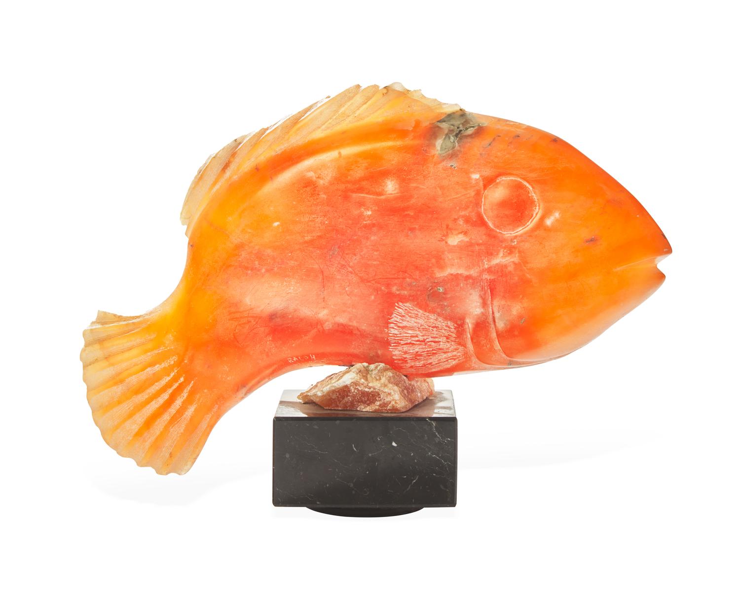Tropical Fish
