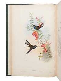 [NATURAL HISTORY]. GOULD, John (1804-1881). A Monograph of the Trochilidae, or Family of Humming-Birds . London: Taylor and Francis for the Author, [1849-] 1861.