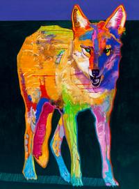 Poised Coyote