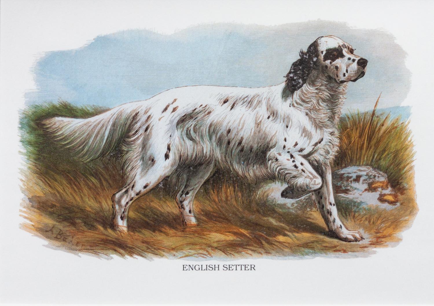 Three Works of Art depicting English Setters Largest: 23 1/2 x 29 1/4 inches.