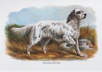Three Works of Art depicting English Setters Largest: 23 1/2 x 29 1/4 inches.
