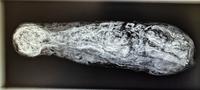 An Egyptian Mummified Jackal