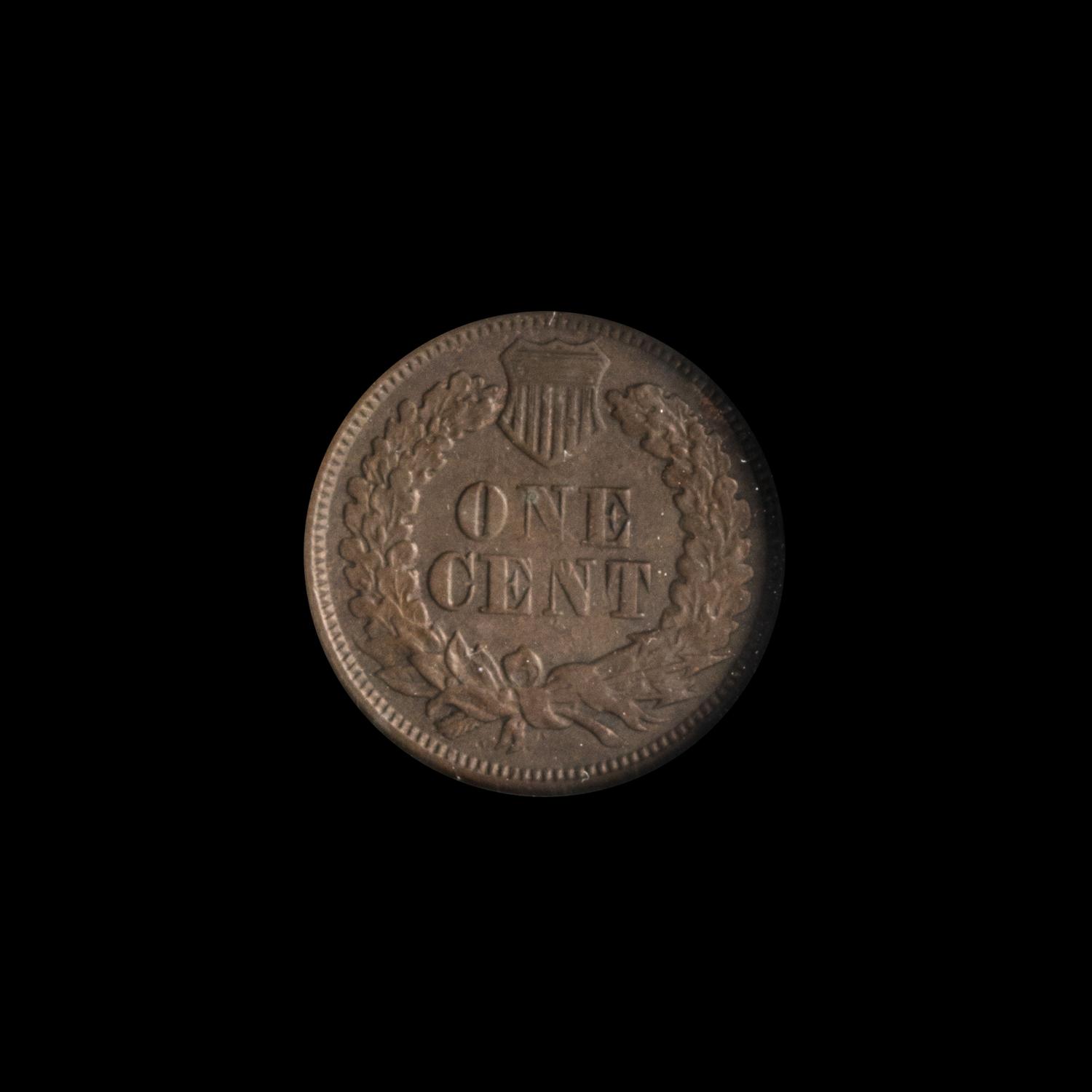 A United States 1877 Indian Head 1c Coin