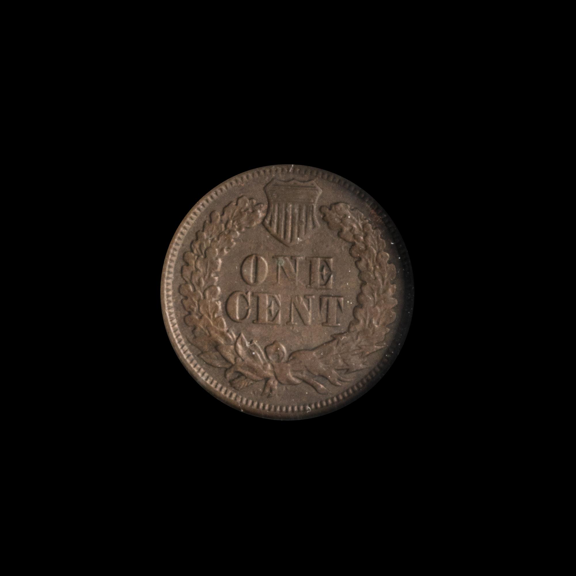 A United States 1877 Indian Head 1c Coin