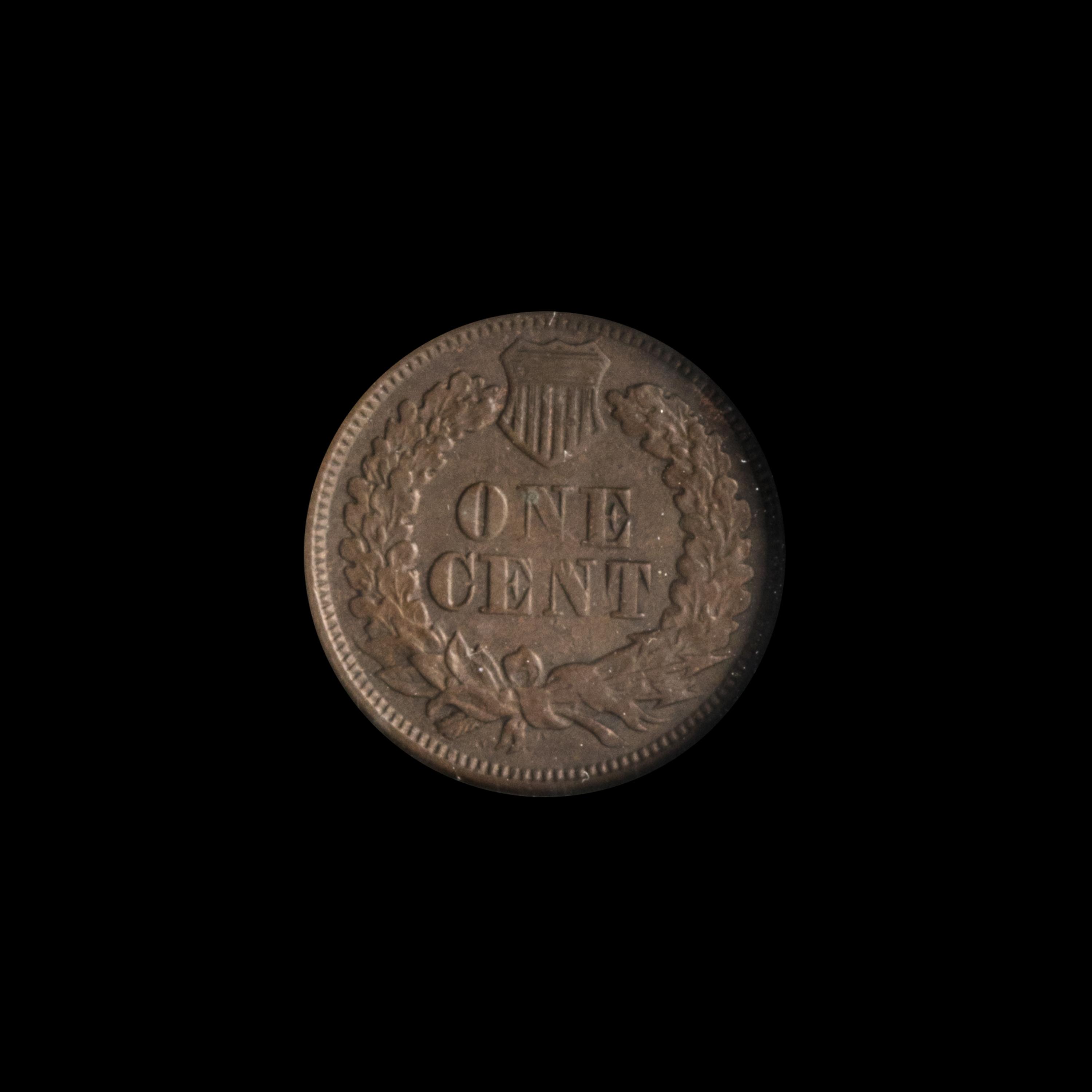 A United States 1877 Indian Head 1c Coin
