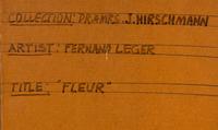 Fleur, 1950
