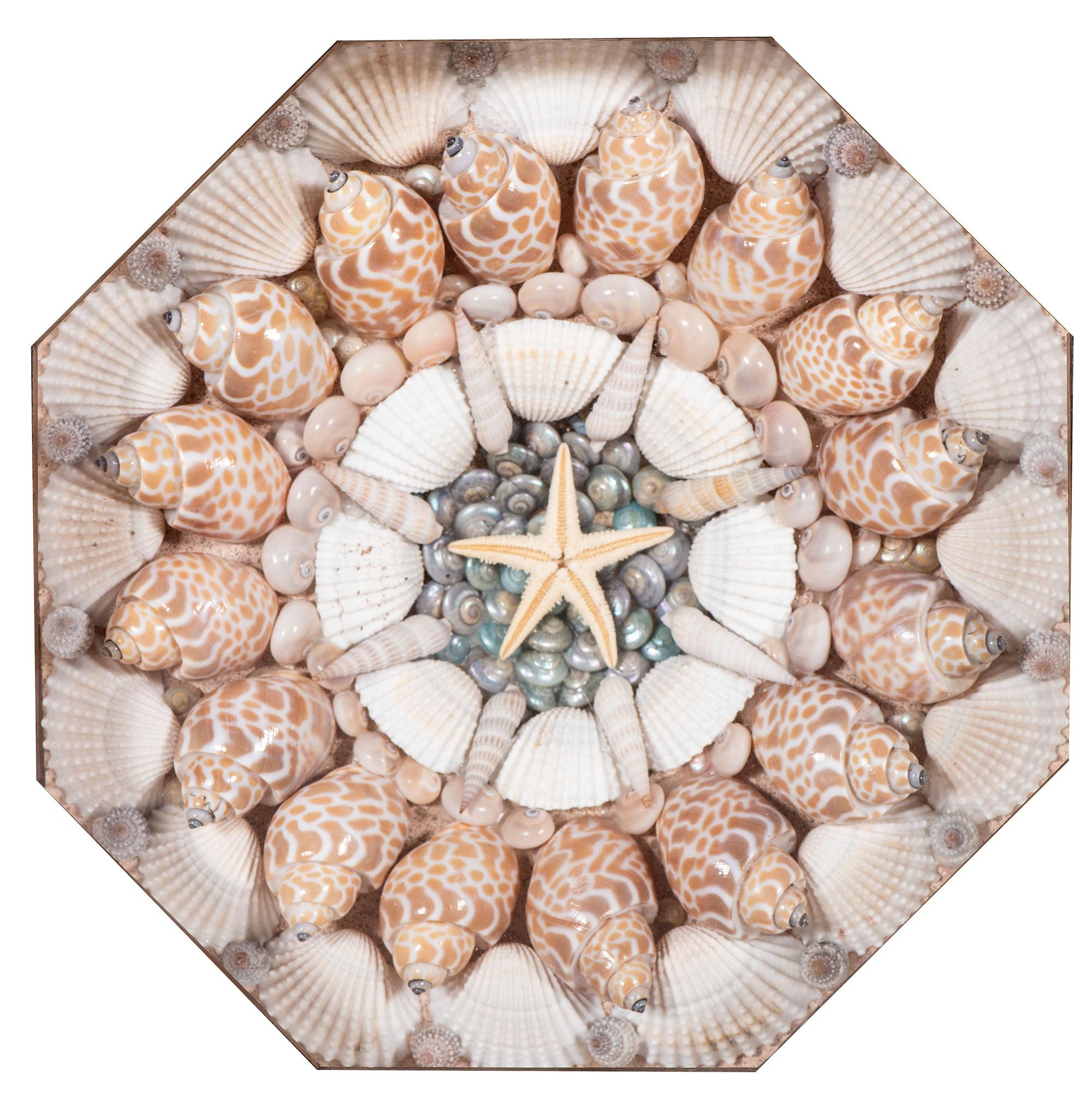 A Shellwork Sailor's Valentine