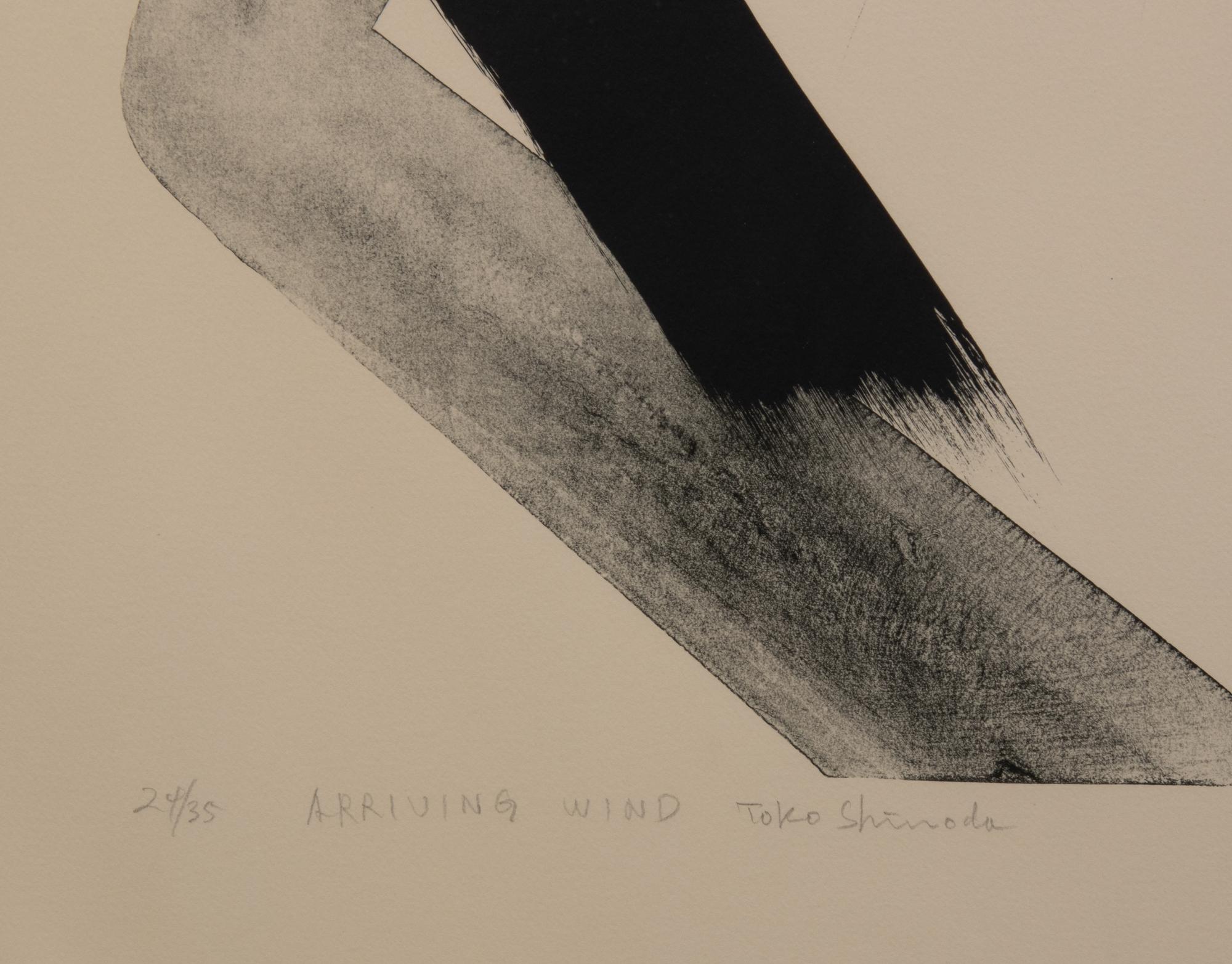 Arriving Wind