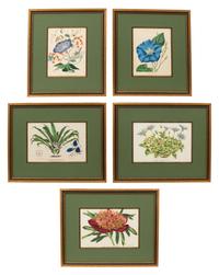 A Set of Five Botanical Lithographs