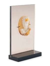A Variegated Agate Relief of an Emperor