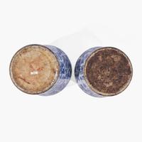 A pair of large Chinese blue and white porcelain jars and covers 青花帶蓋大罐一對 Kangxi period ? ??