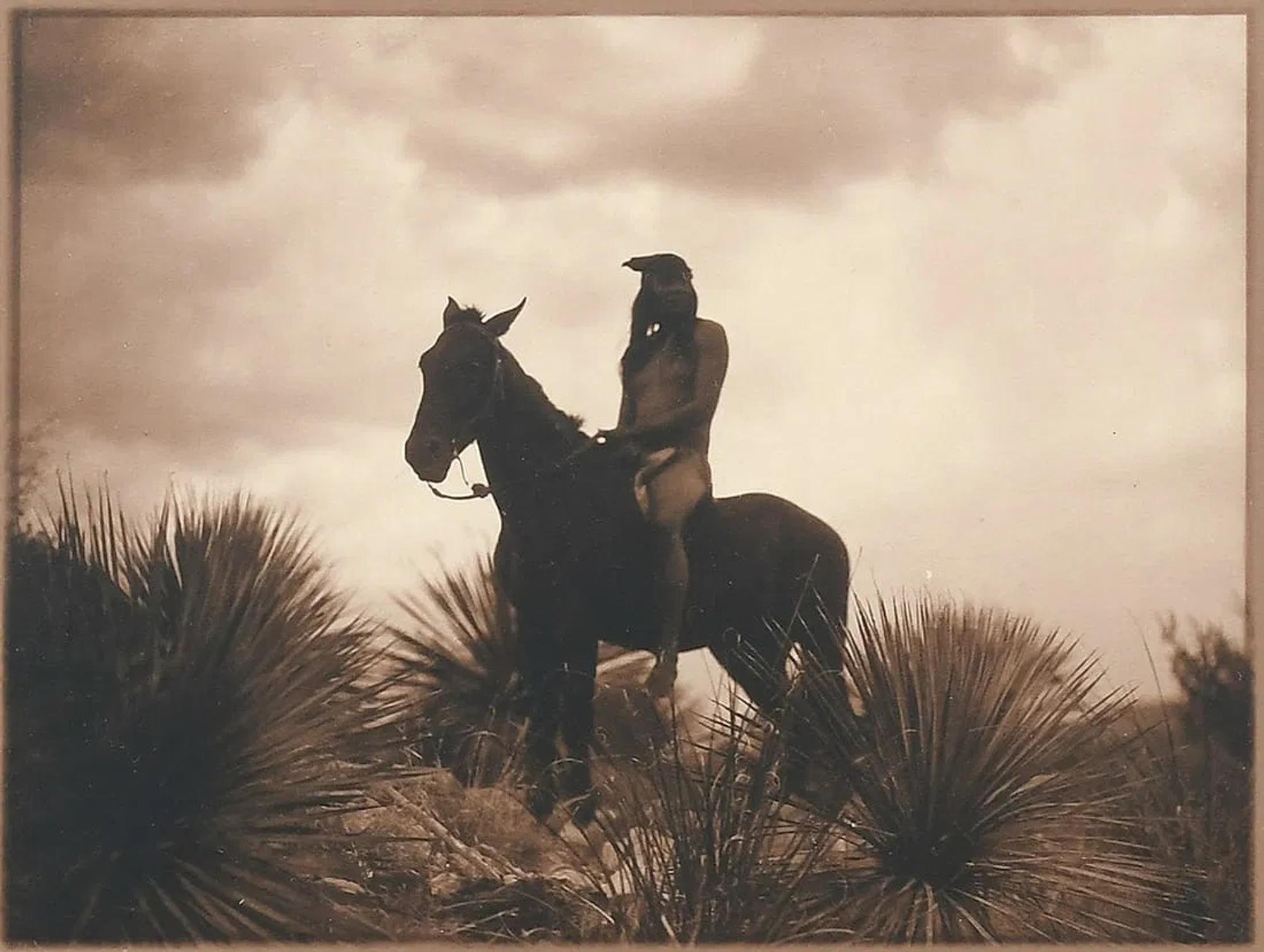 Curtis, Edward S. (1868-1952). The Scout . 1906.