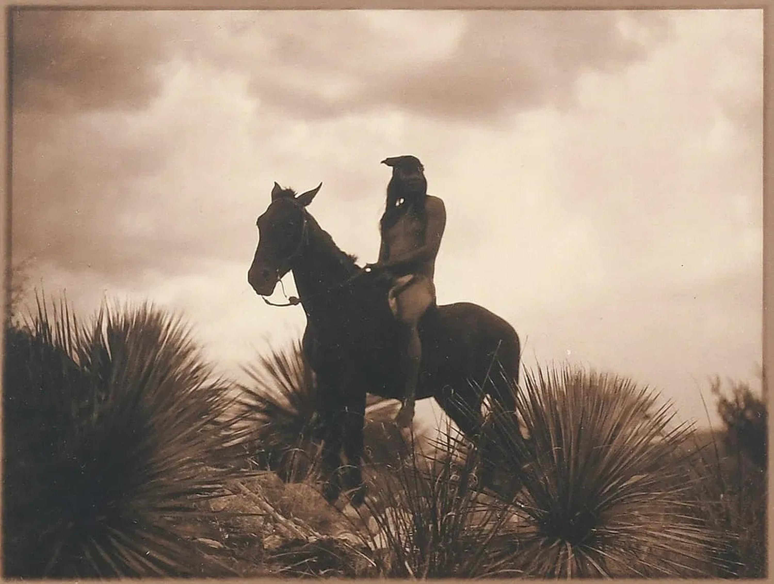 Curtis, Edward S. (1868-1952). The Scout . 1906.