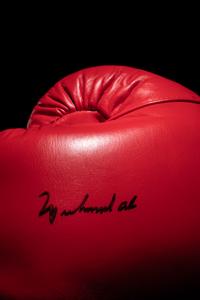 A Muhammad Ali Signed Autographed Everlast Boxing Glove (Left) Sourced Directly from Ali's G.O.A.T. Agency (BAS Beckett Authentication Services Certified),