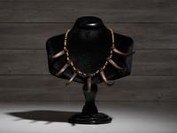Northern Plains Imitation Bear Claw Necklace