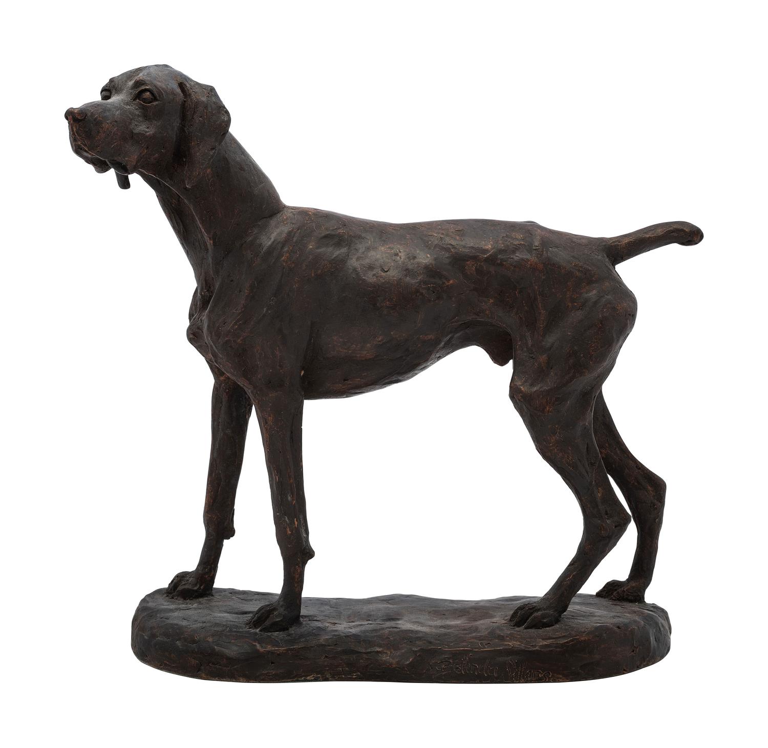 Bird Dog