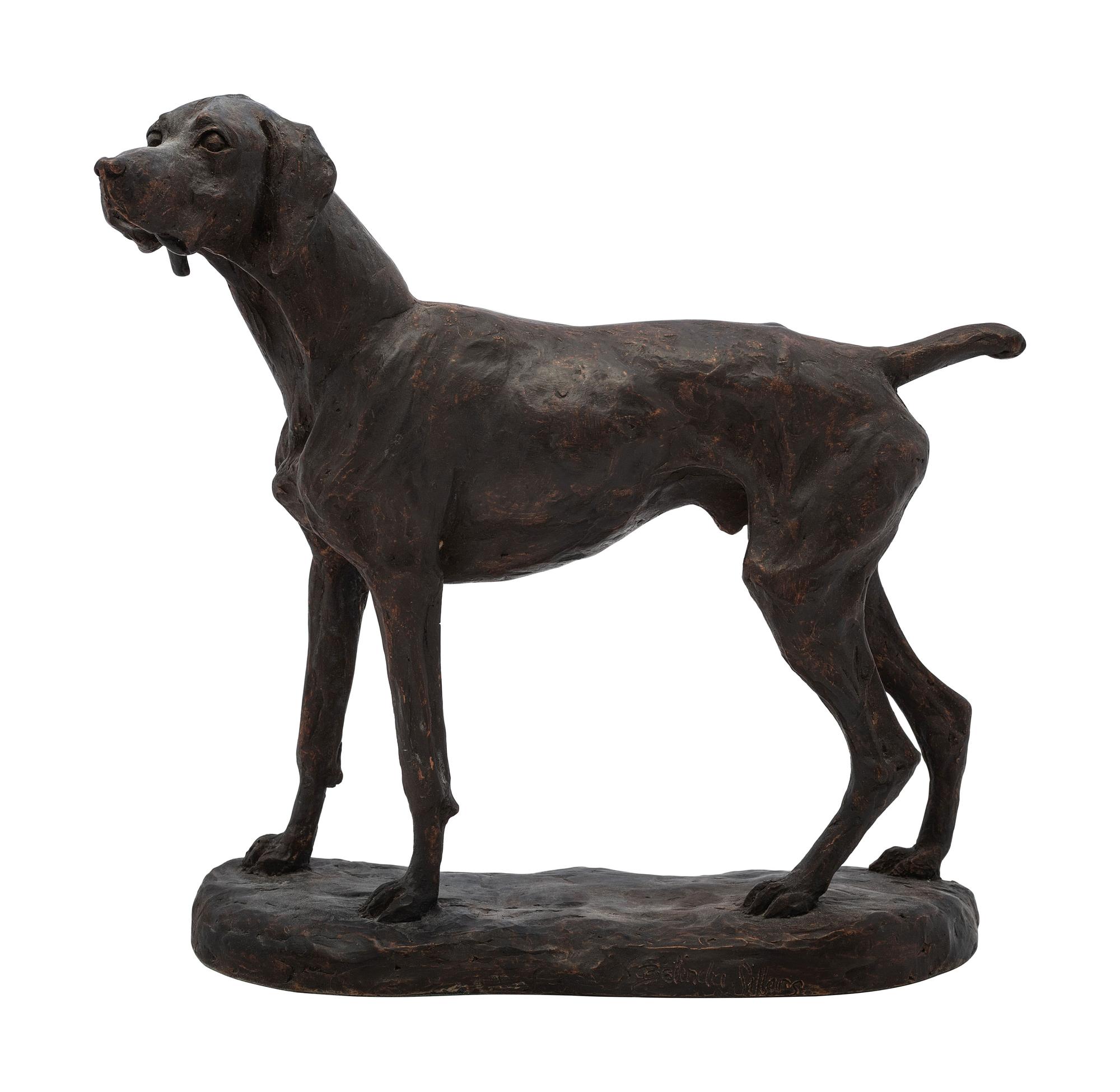 Bird Dog