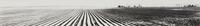 Midwest Landscape #34 , 1962