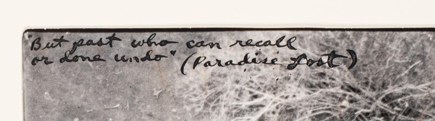 But Past Who Can Recall or Done Undo (Paradise Lost) (from The End of the Game ), 1977