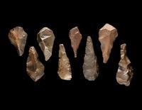 Eight Paleolithic Chert Hand Axes