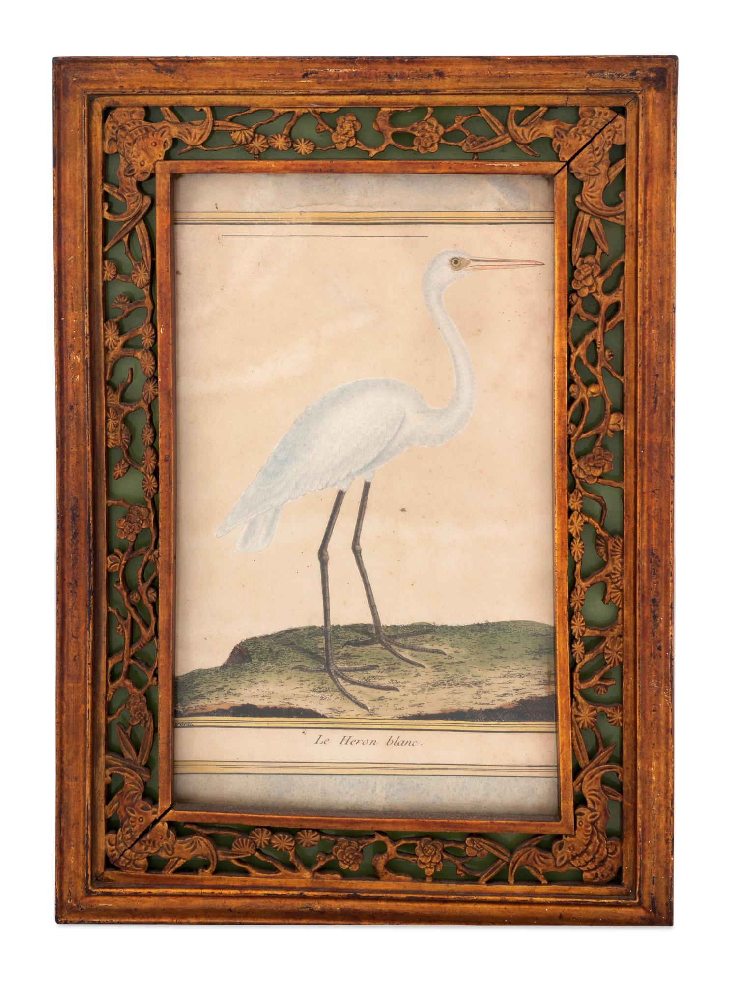 Twelve French Hand-Colored Bird Engravings — Designed and Engraved by Francois Nicolas Martinet (1731-1804); From Histoire Naturelle des Oiseaux by George-Louis Marie Leclere, Comte de Buffon; Printed at the Imprimerie Royale, 1770-1786