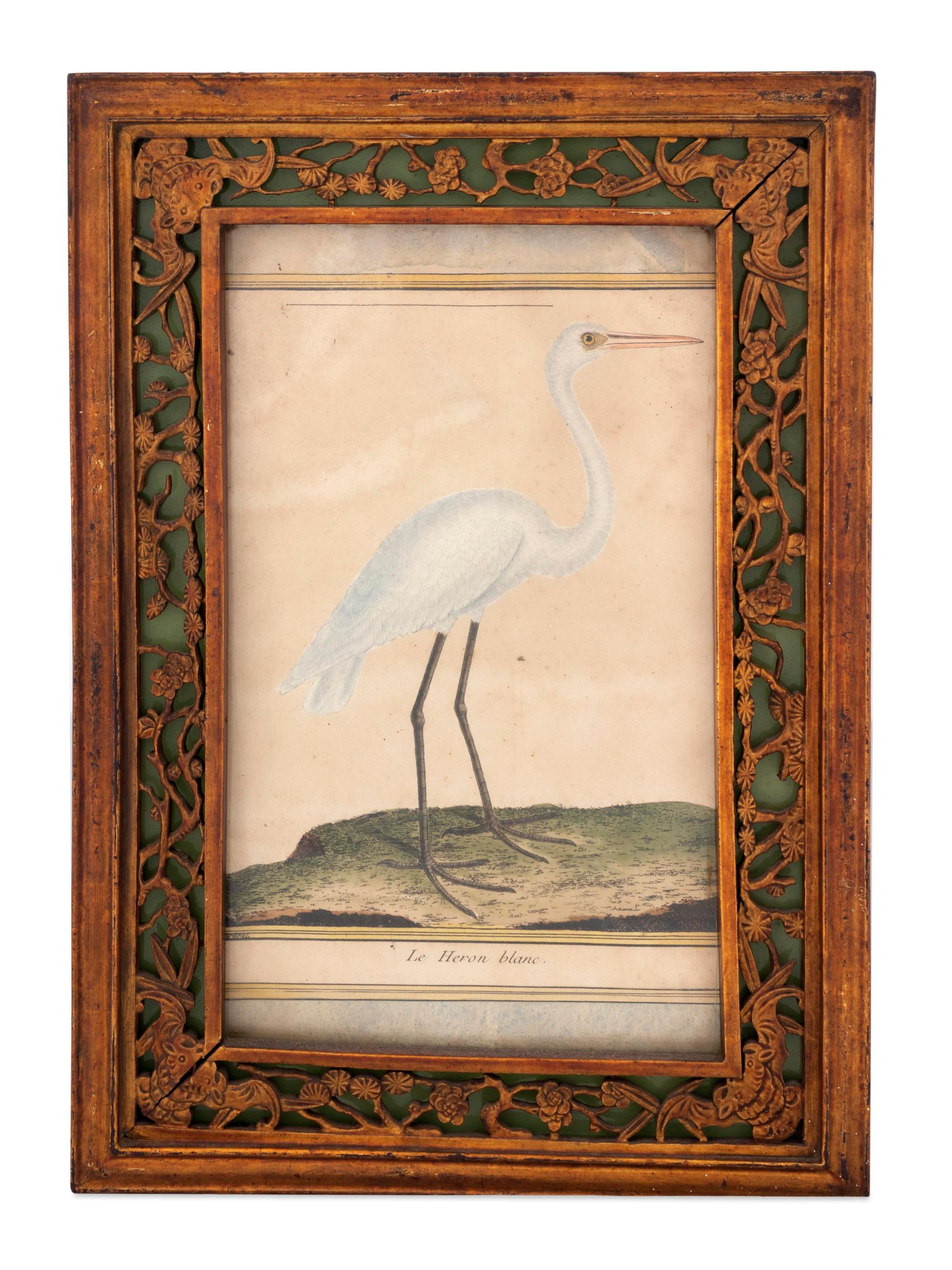 Twelve French Hand-Colored Bird Engravings — Designed and Engraved by Francois Nicolas Martinet (1731-1804); From Histoire Naturelle des Oiseaux by George-Louis Marie Leclere, Comte de Buffon; Printed at the Imprimerie Royale, 1770-1786