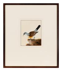 Six Bird Portraits