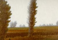 August Fields