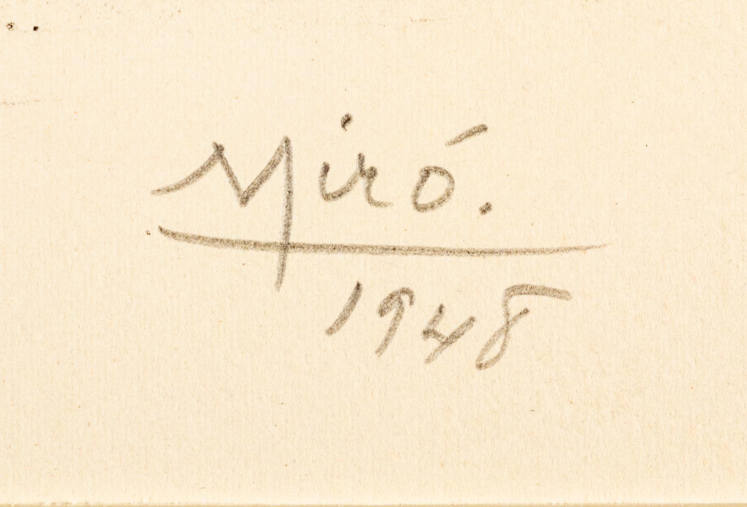 Plate I and Plate X from Album 13