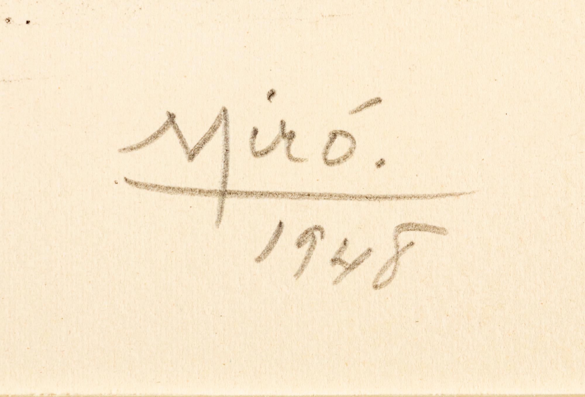 Plate I and Plate X from Album 13