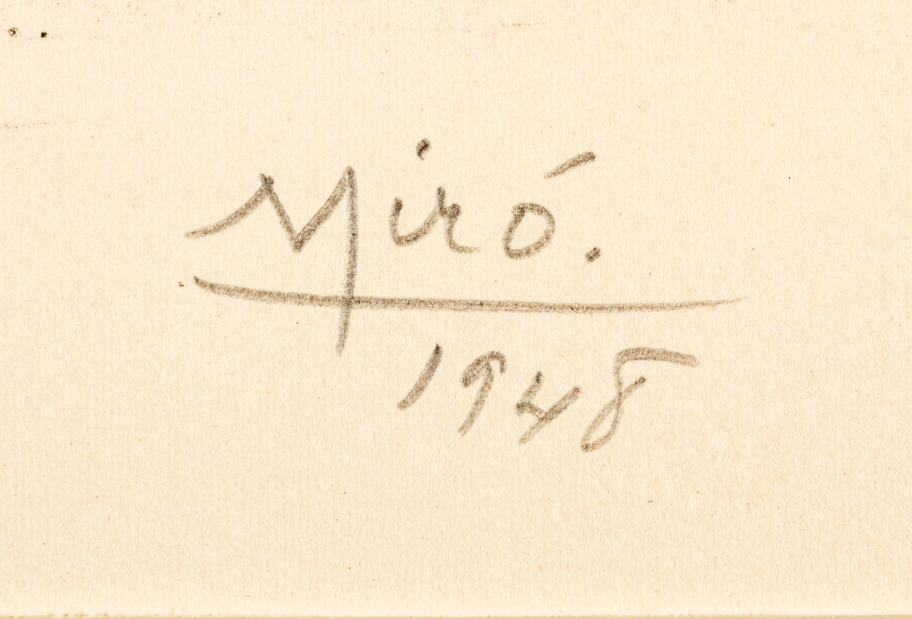 Plate I and Plate X from Album 13