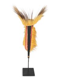 Plains Porcupine Hair Roach