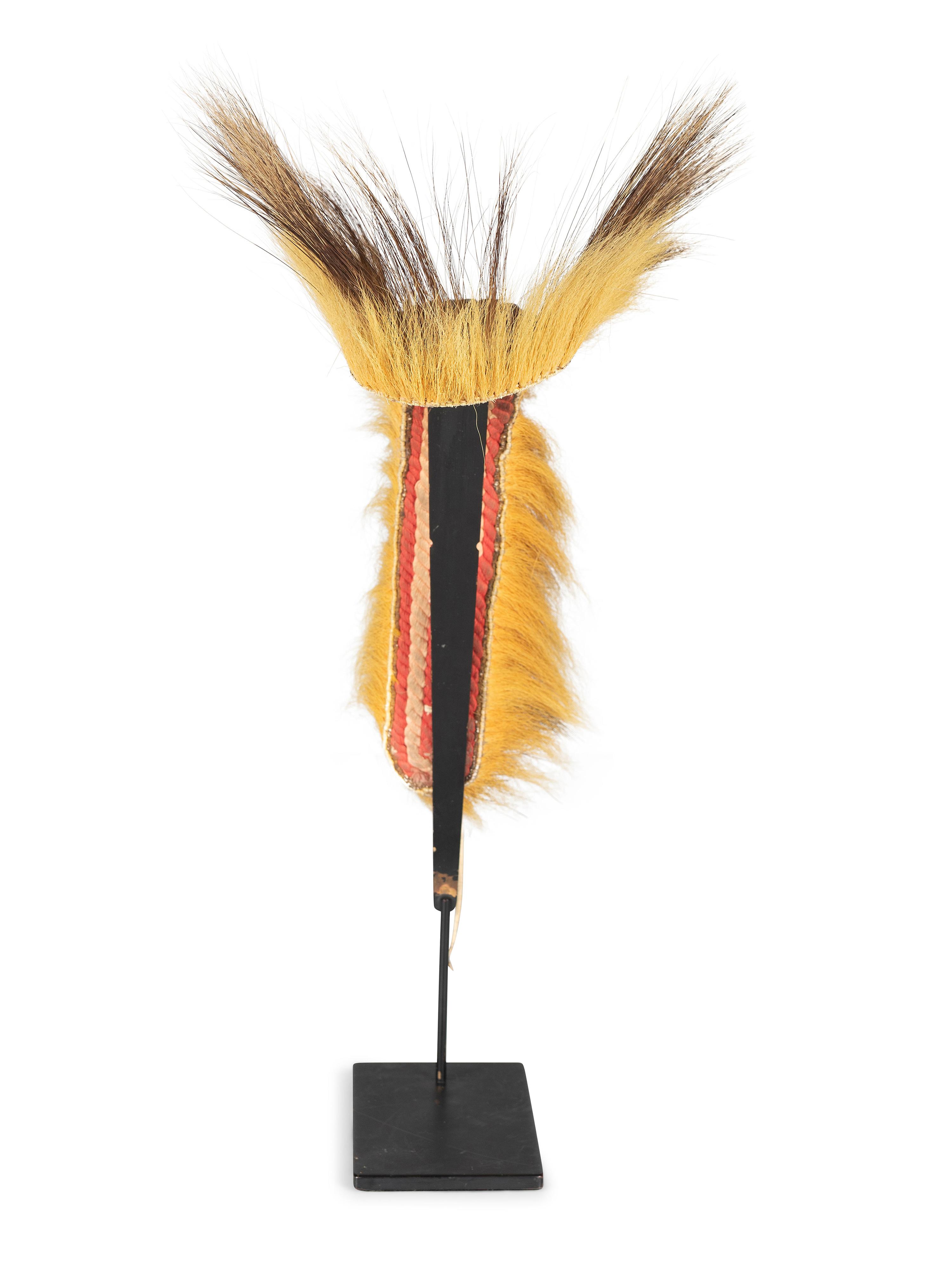 Plains Porcupine Hair Roach