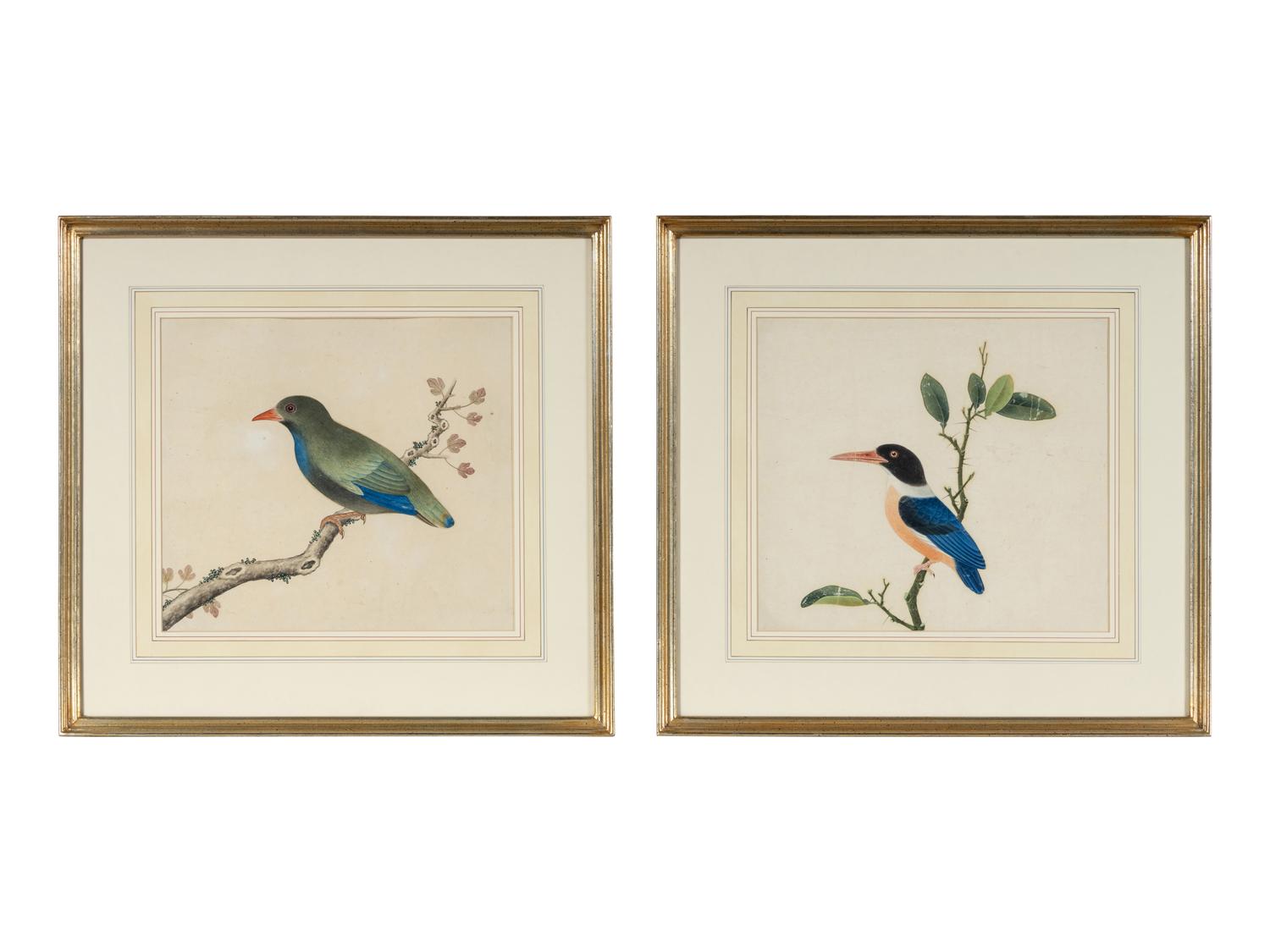 A Pair of Chinese Export Pith Paintings of Birds