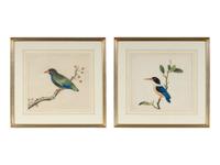 A Pair of Chinese Export Pith Paintings of Birds