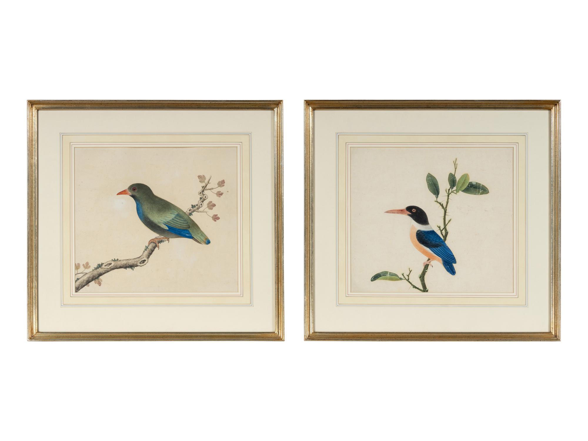 A Pair of Chinese Export Pith Paintings of Birds