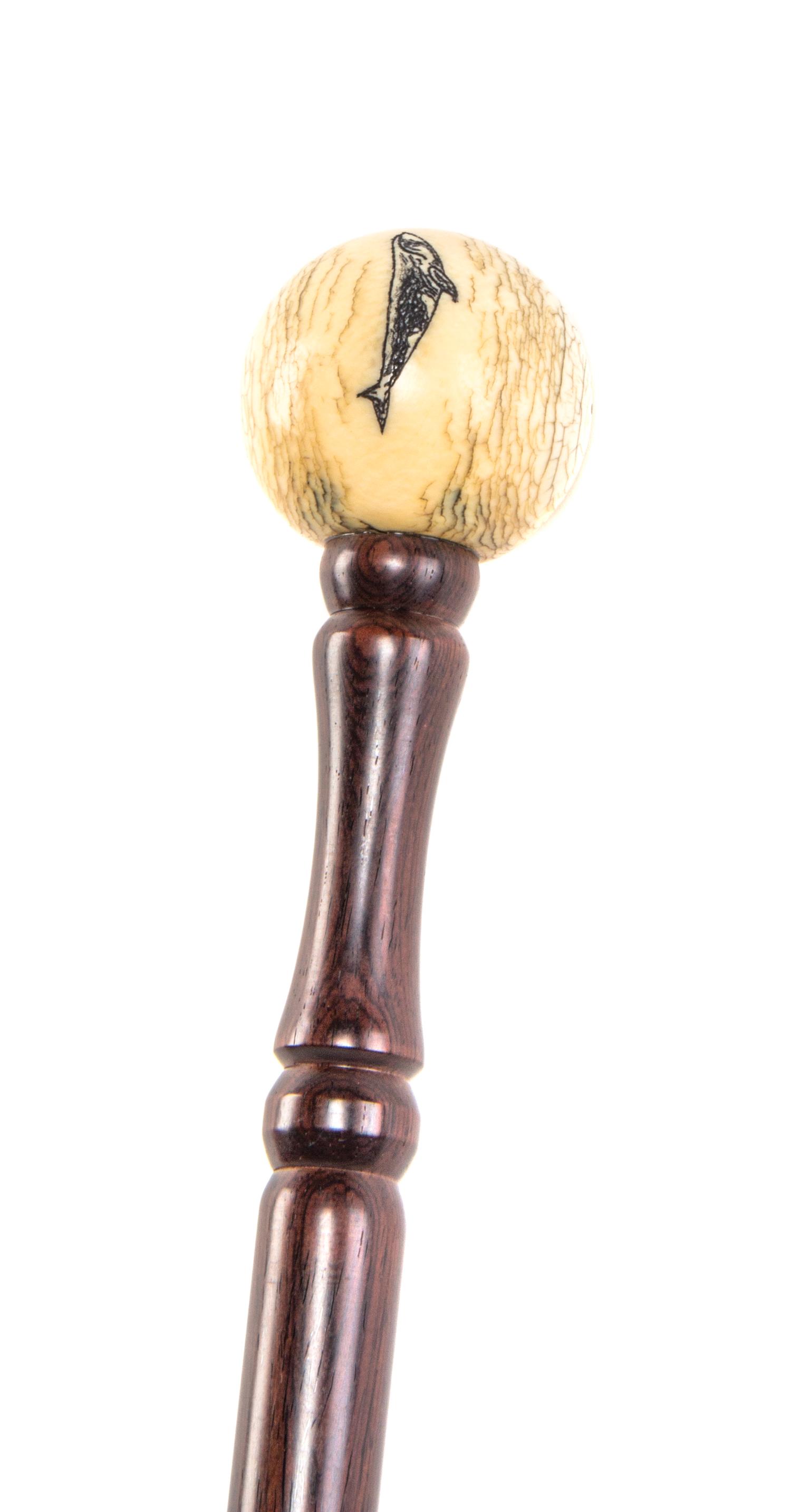An American Ivory Handled Cane, Height of handle 2 1/4 x length overall 35 1/2 inches.