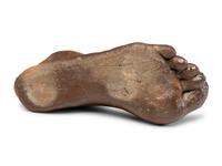 A Sewer Tile Foot