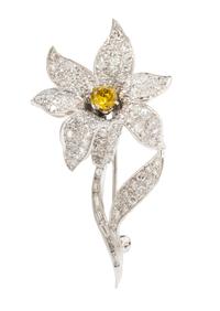A Platinum, Colored Diamond and Diamond Brooch, 8.40 dwts.