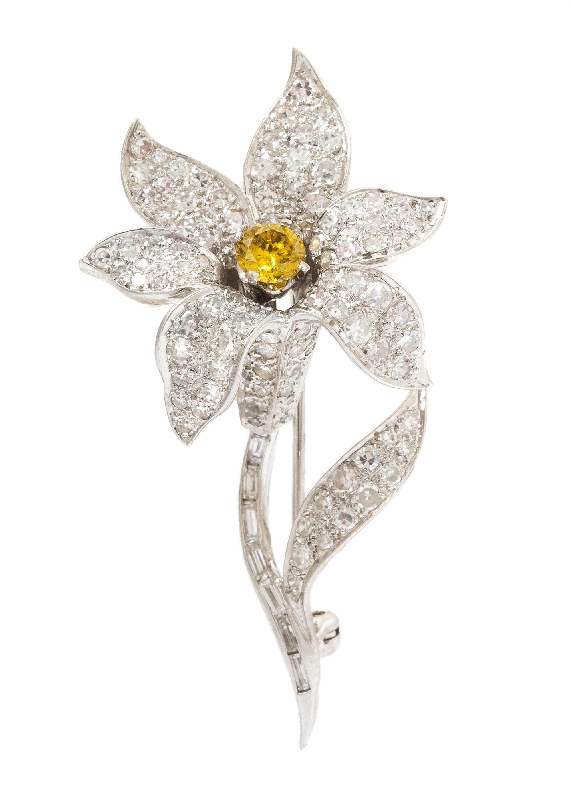 A Platinum, Colored Diamond and Diamond Brooch, 8.40 dwts.