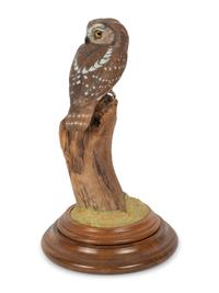 Saw Whet Owl