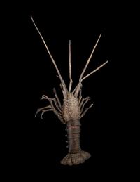 A Japanese Copper Articulated Model of a Crayfish