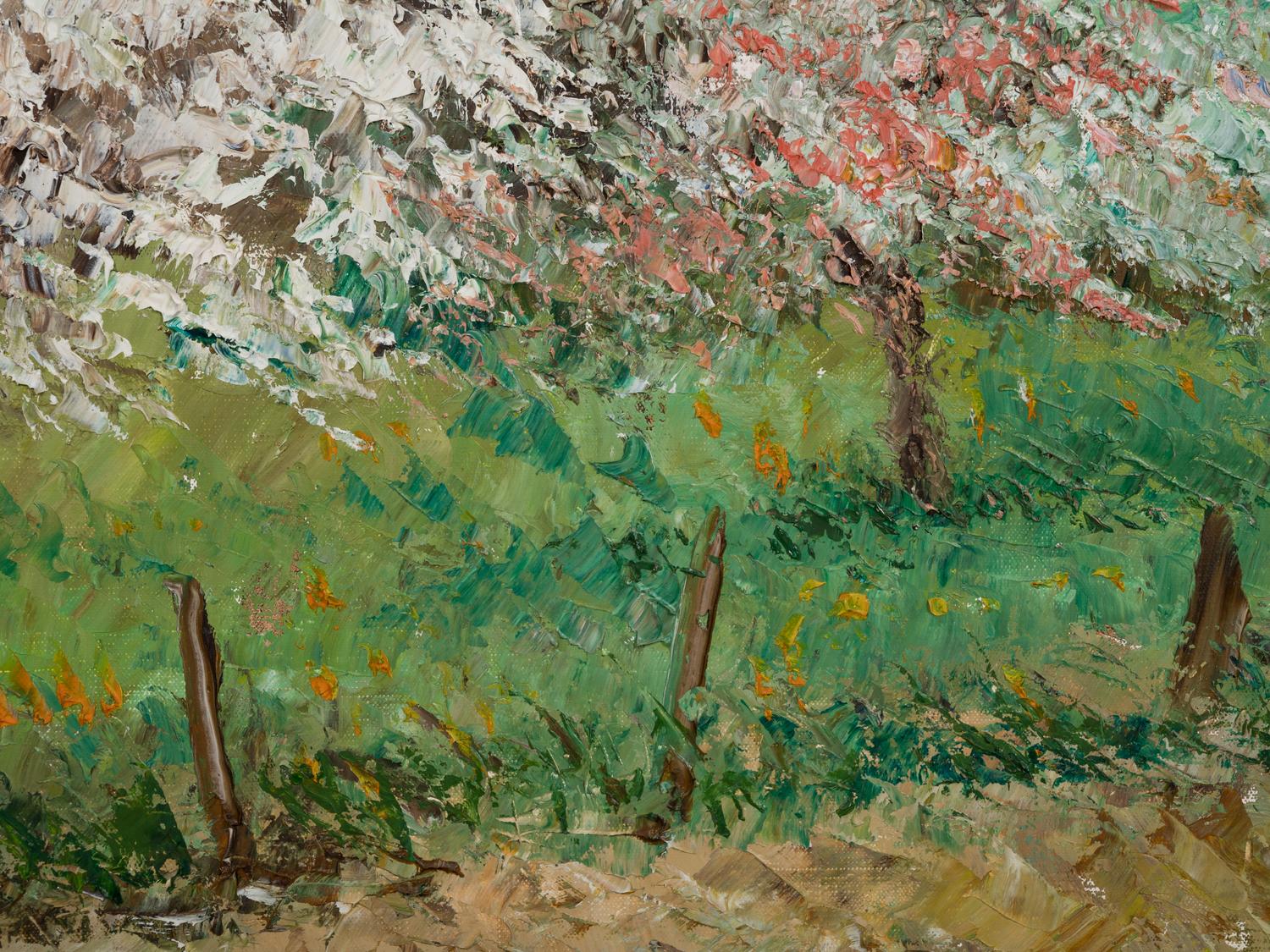 Pommier en fleurs