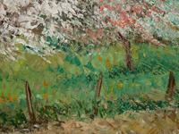 Pommier en fleurs