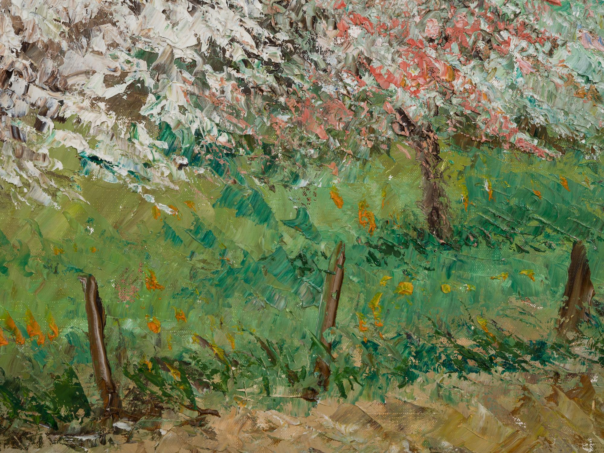 Pommier en fleurs