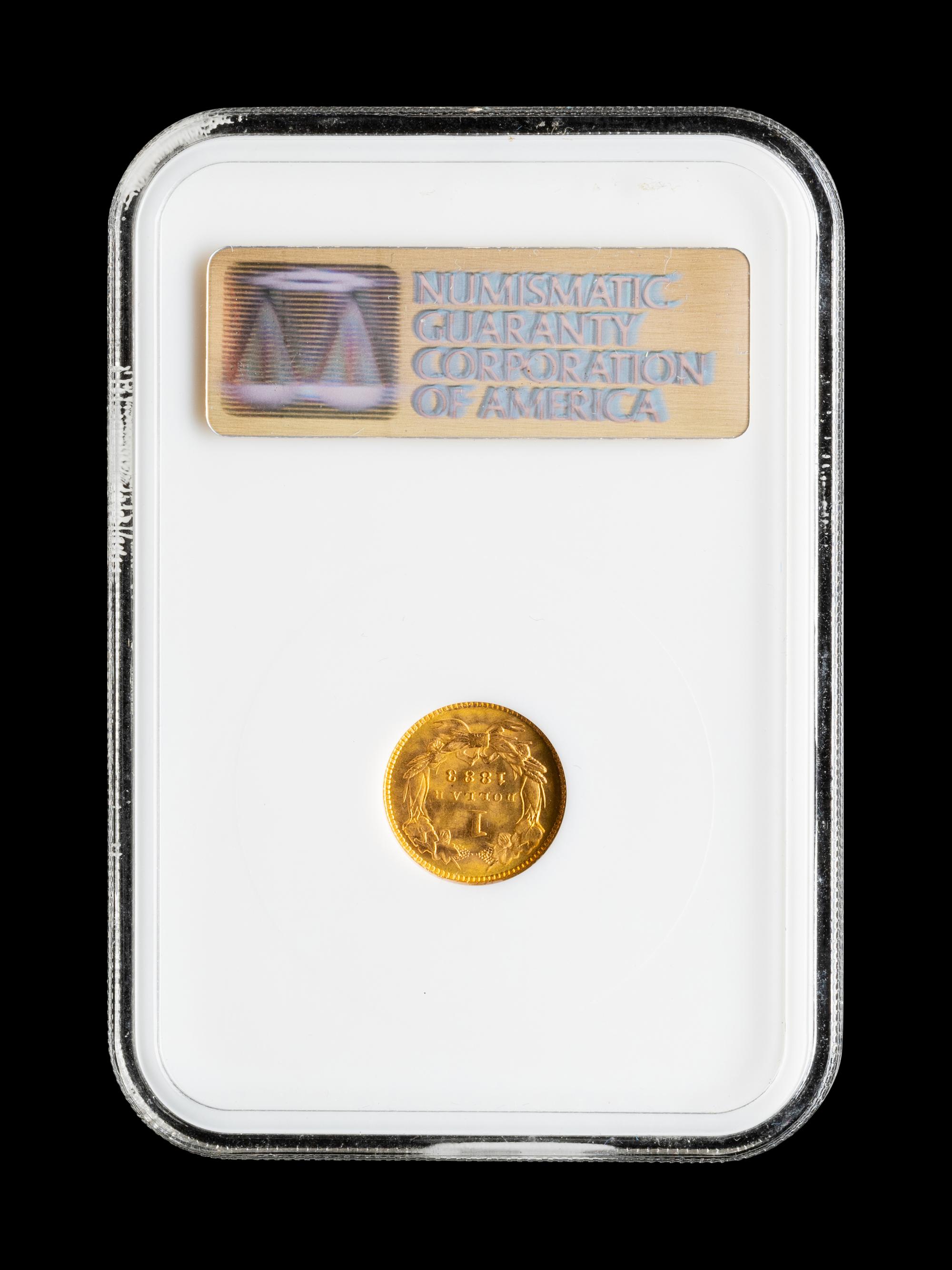 An 1883 Indian Princess $1 Gold Coin (NGC MS64)