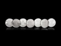 [PRIVATE ISSUE] Seven 4 Oz. Silver Rounds