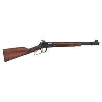 *Winchester Model 9422 Rifle with Aperture Rear Sight