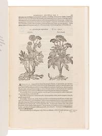 [BOOK CLUB OF CALIFORNIA]. [DODOENS, Rembert (1517-1585)]. A Leaf from the 1583 Rembert Dodoens Herbal Printed By Christopher Plantin. San Francisco: The Book Club of California, 1977.